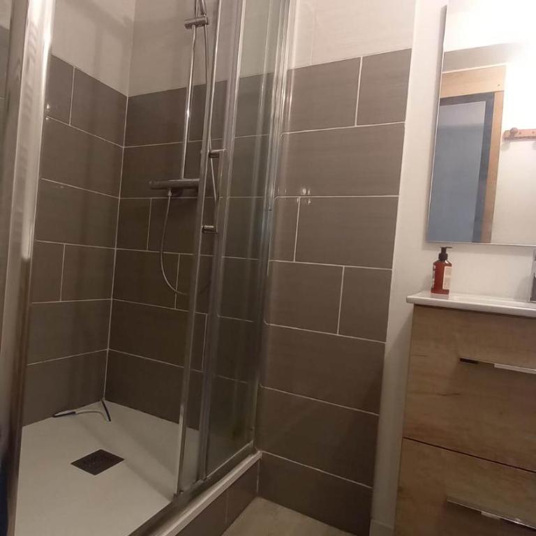Appt T2 3 étoiles WIFI, Canal netflix park couvert - Appartement 1 Chambre - 4