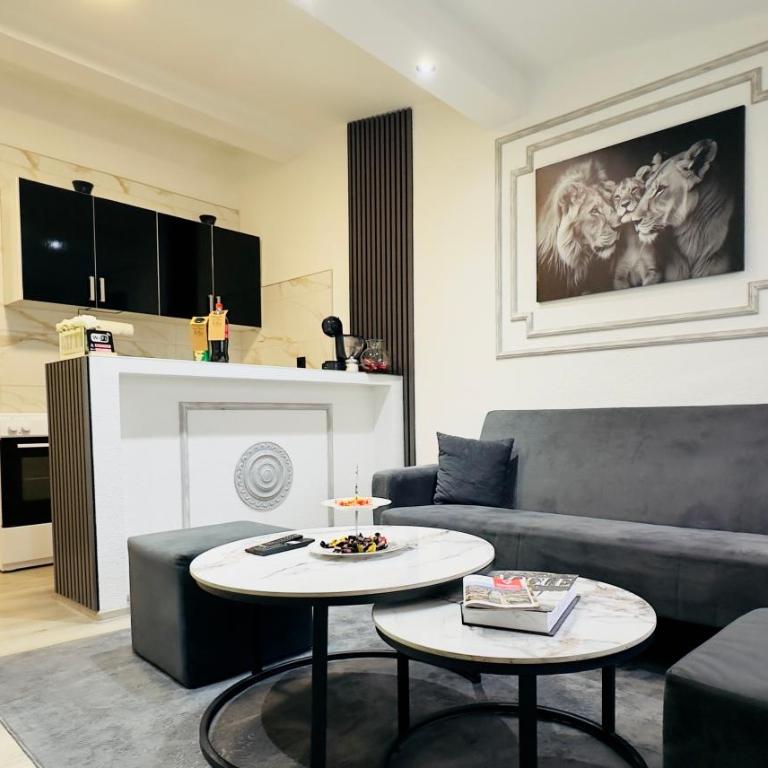 Apartment Advan Old Town Sarajevo - One-Bedroom Apartment with Terrace - 1