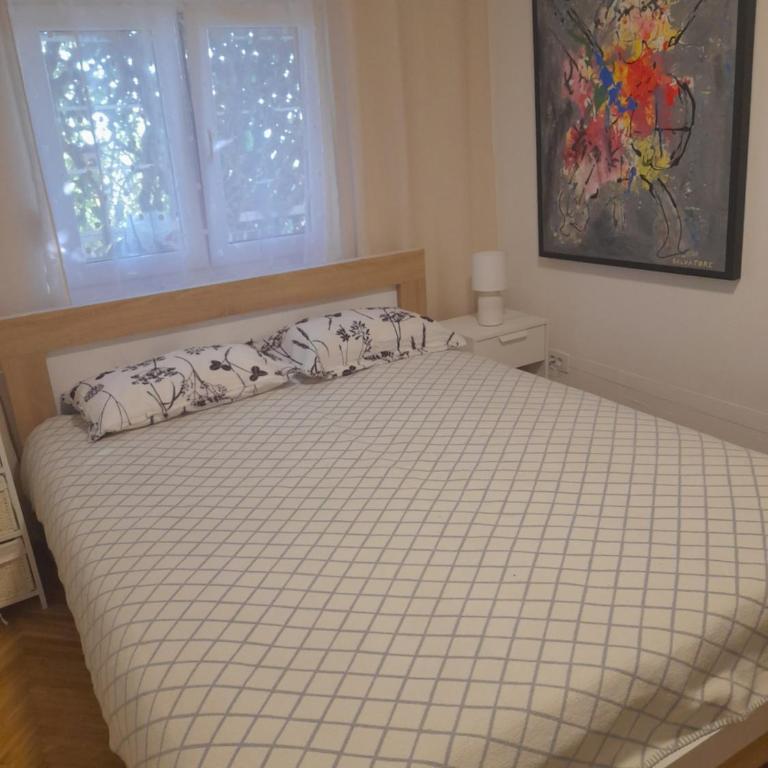 Apart SRDJ&MAR - Apartman sa 3 Spavaće Sobe - 8