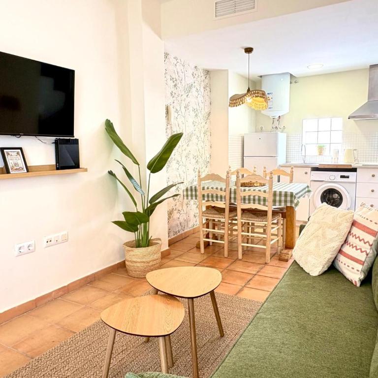 Penthouse in the Alameda de Hercules - Apartamento - 2 niveles - 9