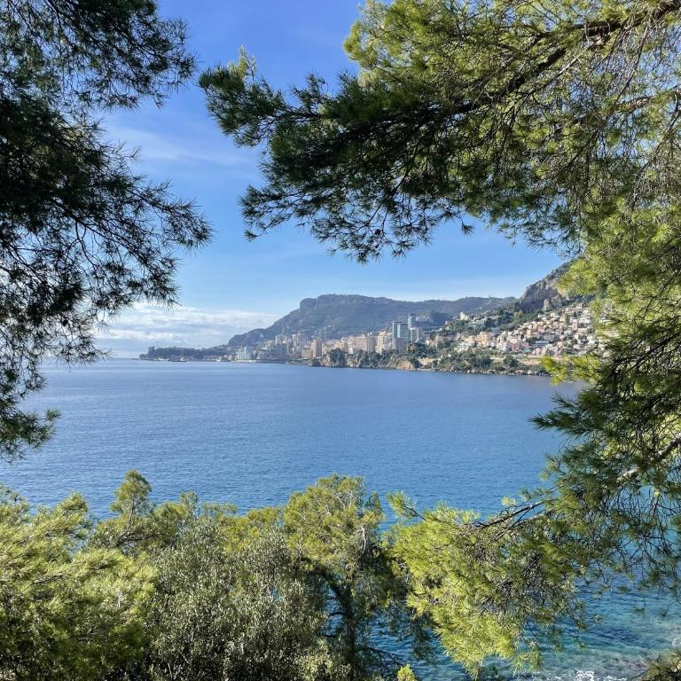 Villa La Shangri La - 8 people - Sea and Mountain view - Menton - Villa Supérieure - 17