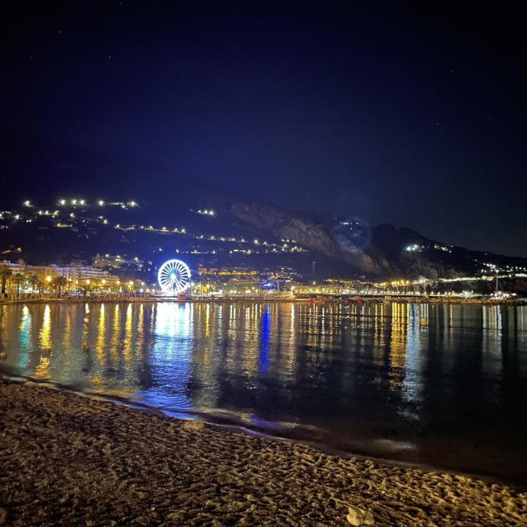 Villa La Shangri La - 8 people - Sea and Mountain view - Menton - Villa Supérieure - 67