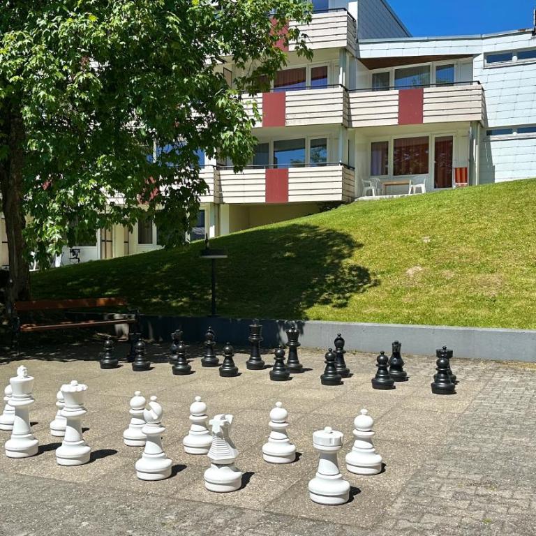 Studio 2304 am Predigtstuhl - Appartement 1 Chambre avec Balcon - 10