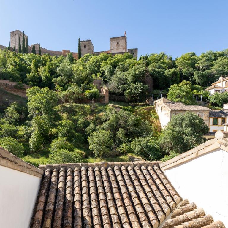 El Balcón de la Alhambra- 3 Suites - One-Bedroom Apartment with City View - 26