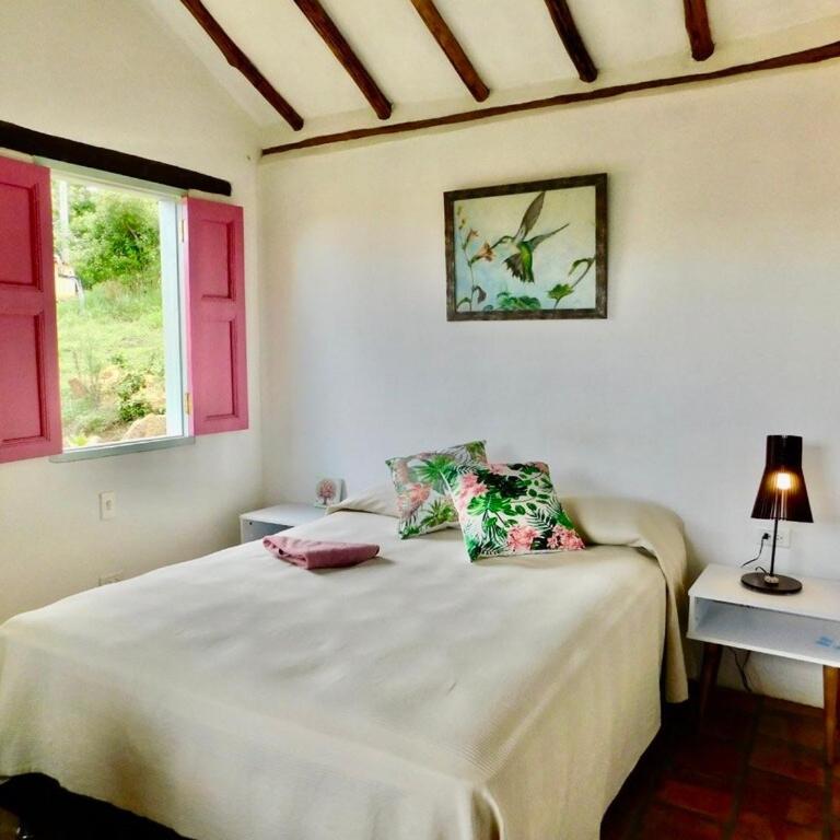 Countryside Cabin with Starlink - Barichara - One-Bedroom House - 21