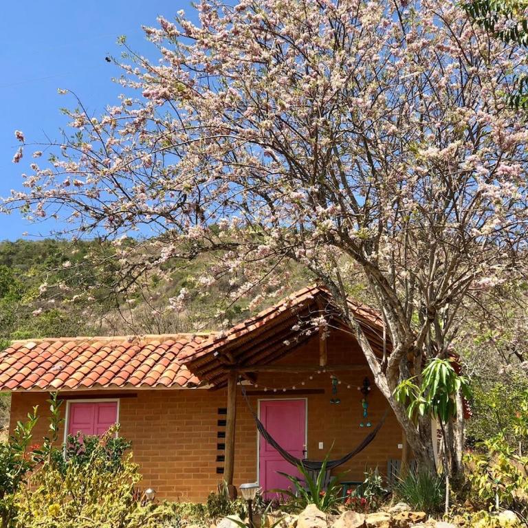 Countryside Cabin with Starlink - Barichara - One-Bedroom House - 27