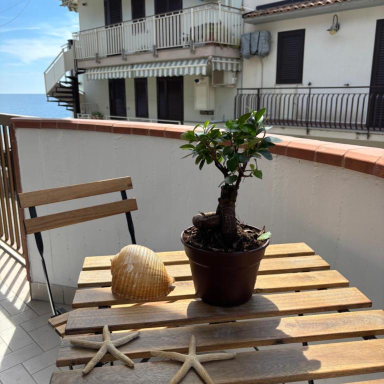 STELLA MARINA Apartment - Appartamento con 1 Camera da Letto, Vista Mare e Balcone - 9