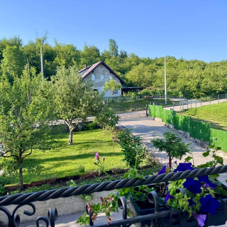 Apartmani Hrastik 1 - Appartement - 60