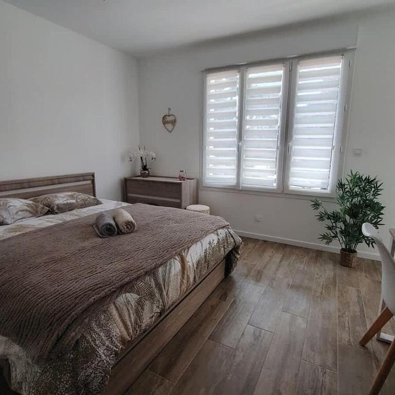 Charme et confort plage a 50 metres - Appartement - 1