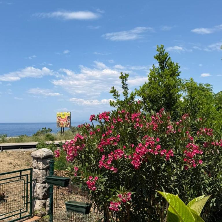 Utjeha Apartments - Apartman sa 1 Spavaćom Sobom - 4
