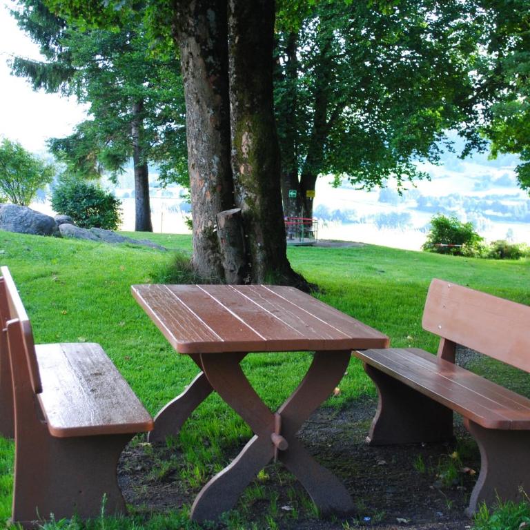 Familienwohnung Sonnenschein mit Hallenbad, Sauna & activCARD - Apartment - 57