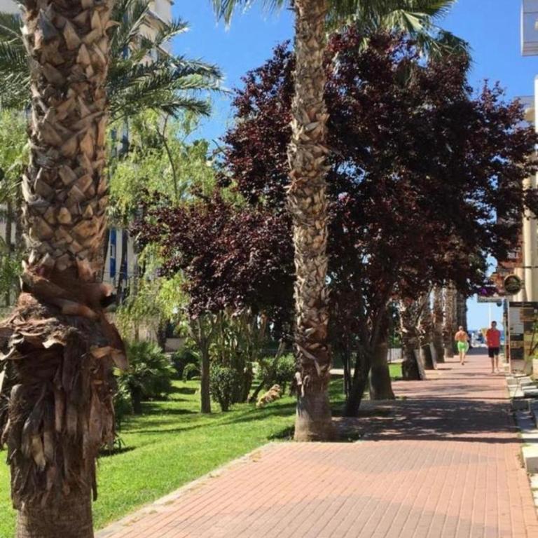 Carlos V Levante Brit Station - Apartamento de 1 dormitorio - 6
