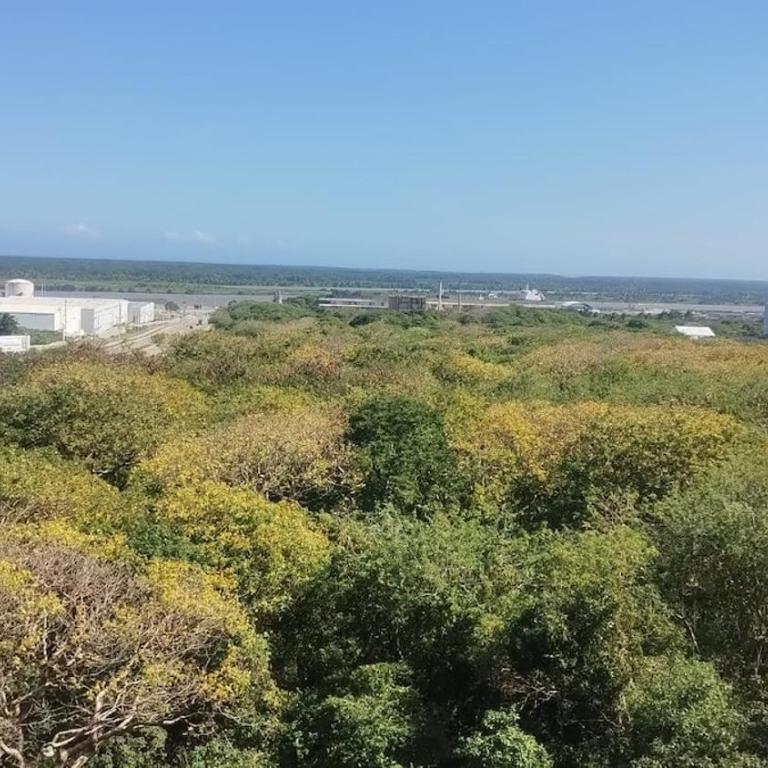 Fully Equipped Modern Apartment - Apartamento de 2 dormitorios - 20