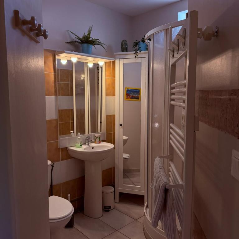 Meublé classé Carmes , entrée autonome, wifi, climatisé, petit parking privé - Studio-Apartment - 10