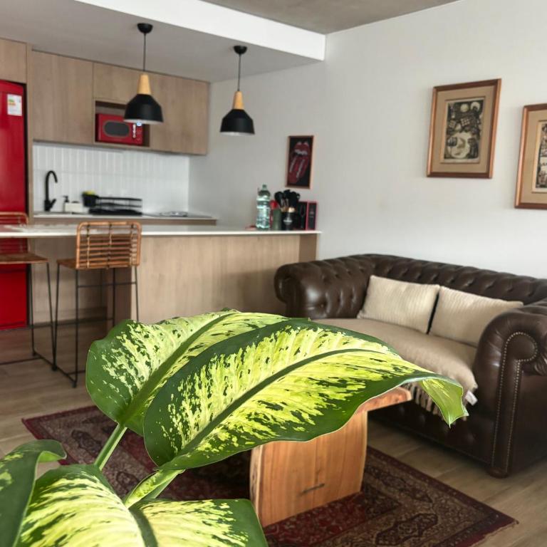 En el corazón de punta carretas 2 Nuevo Terraza y amenities - Apartamento de 1 dormitorio - 1