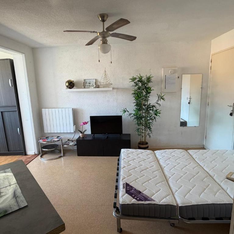Appartement Port Leucate - Appartement 1 Chambre - 1