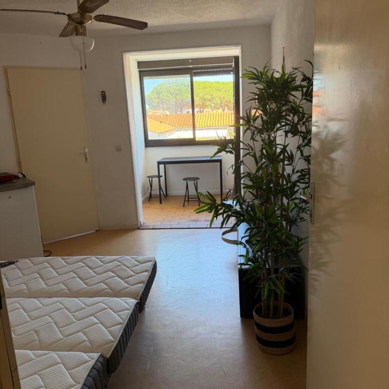 Appartement Port Leucate - Appartement 1 Chambre - 11