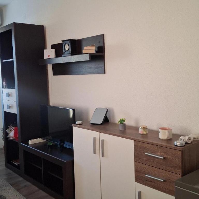 Apartman Mirkovic - Apartman sa 1 Spavaćom Sobom - 19