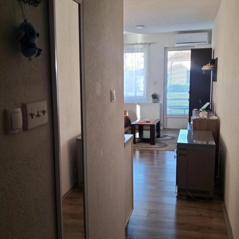 Apartman Mirkovic - Apartman sa 1 Spavaćom Sobom - 21