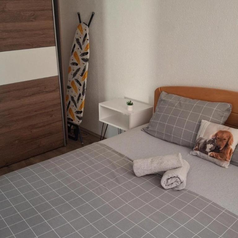 Apartman Mirkovic - Apartman sa 1 Spavaćom Sobom - 22