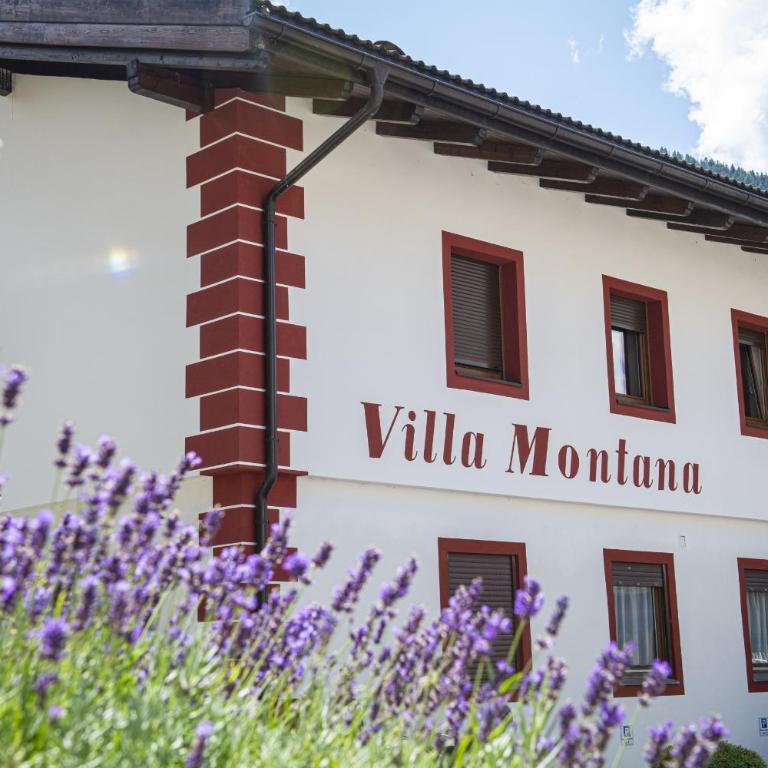 Apartments Villa Montana - Appartamento - 1
