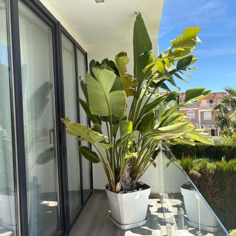 Villa Ensueño - Villa de 3 dormitorios - 82
