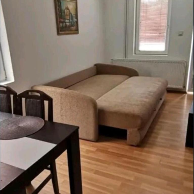 Apartman Mirkovic - Apartman sa 1 Spavaćom Sobom - 6