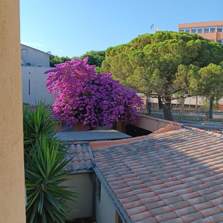 Magnifique studio - Augusta Résidence du Port - à 50 m du vieux Port et de ses animations - Studio mit Gartenblick - 2
