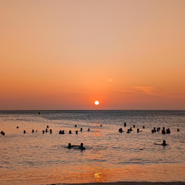 Lujoso Apto en Pozos Colorados Samaria club de playa - Apartamento de 2 dormitorios con balcón - 35