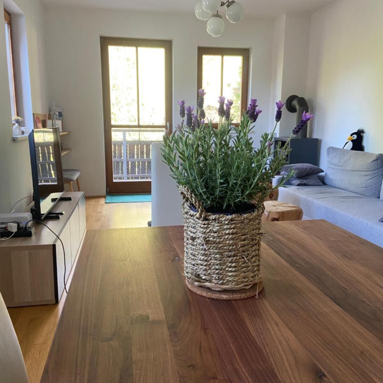 Appartment Rosennock - Apartment mit 3 Schlafzimmern - 1
