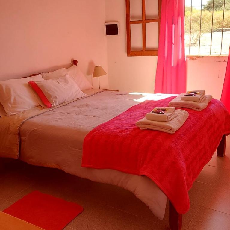 Fiambala Cabañas Pissis - Apartamento de 1 dormitorio - 1