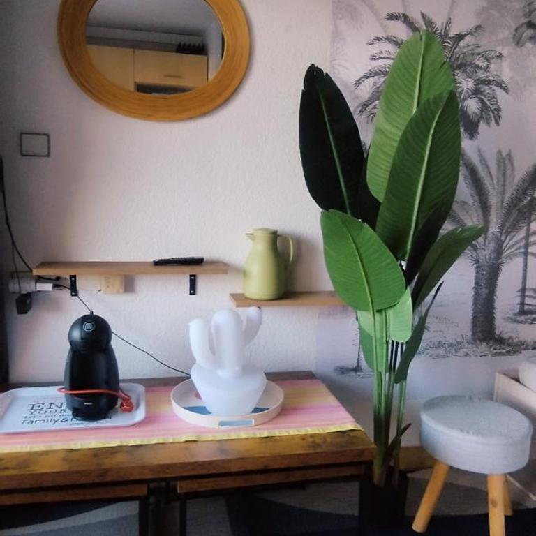 Superbe studio cabine, Cap d'Agde - Apartment mit 2 Schlafzimmern - 8
