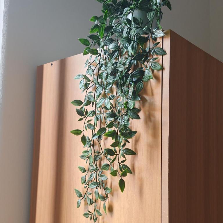 Terra Mea - Appartamento con 2 Camere da Letto - 25