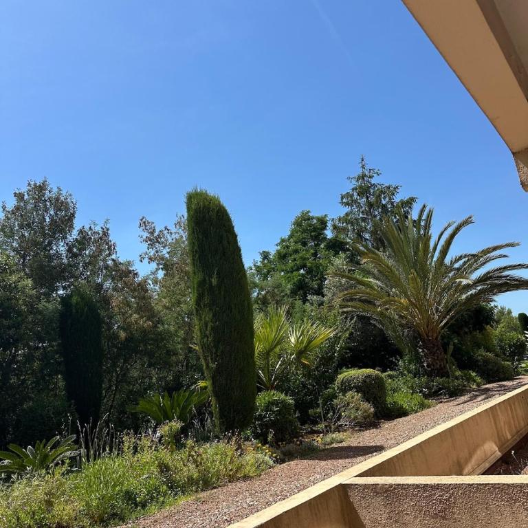 Charming studio 22m2 with terrace in Saint-Raphaël - Studio - 10