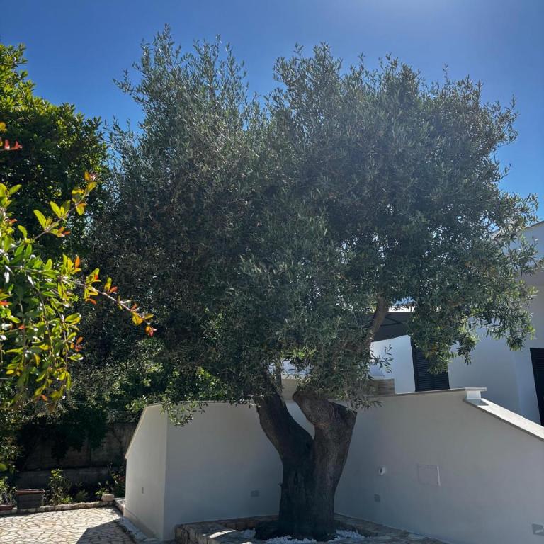 Villa Giorgia Polignano A Mare - Villa con 2 Camere da Letto - 1