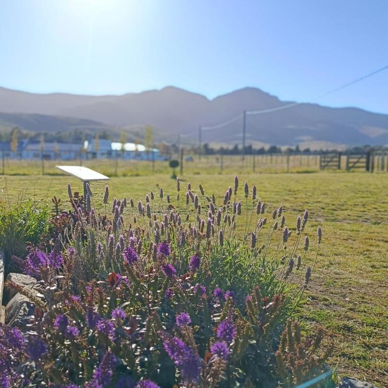 Refugio del Viento - Casa de 2 dormitorios - 2