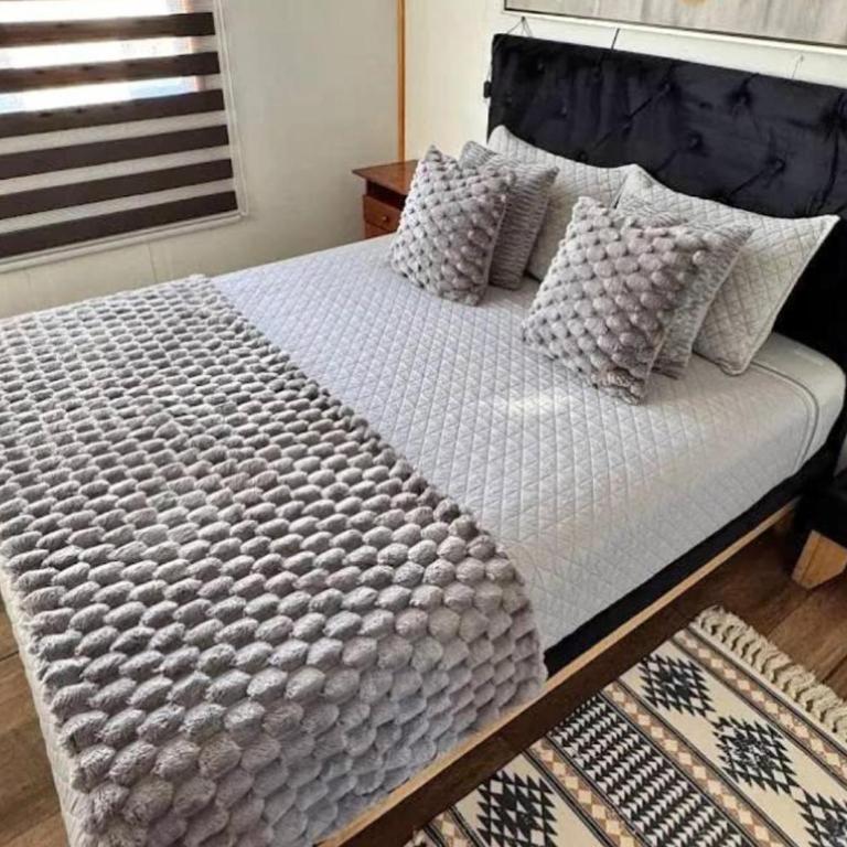 Hospedaje Palmera - Apartamento de 1 dormitorio - 3