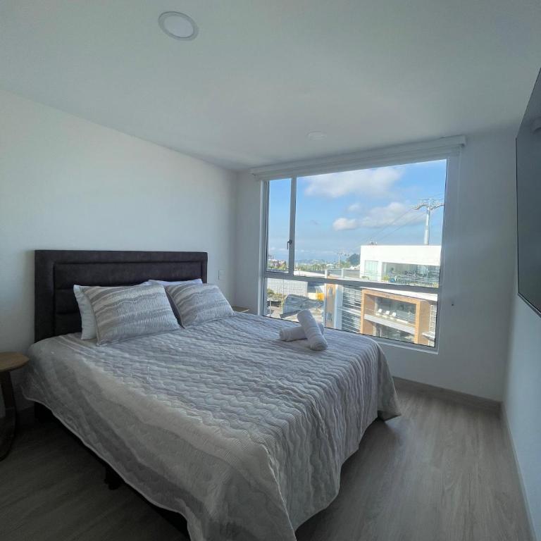 Hostara Altos de Palogrande - Apartamento de 1 dormitorio - 5