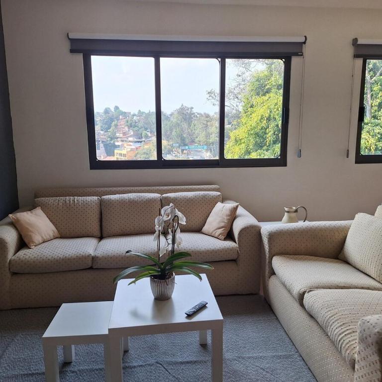 Bright & Peaceful Apt w Tree View, Lomas - One-Bedroom Apartment - 1