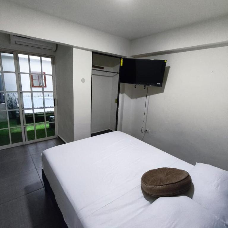 Casa Caracol - One-Bedroom House - 3
