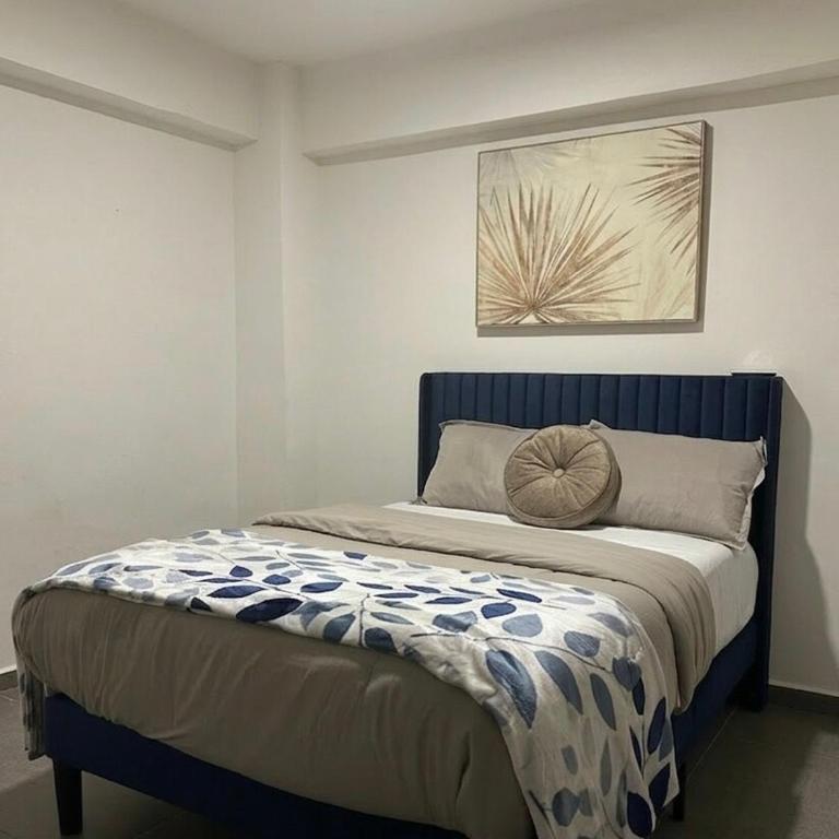 Casa Caracol - One-Bedroom House - 10