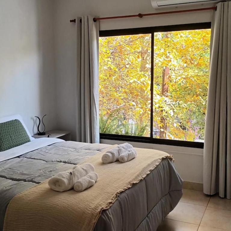 Nórdica Salta - Apartamento - 7