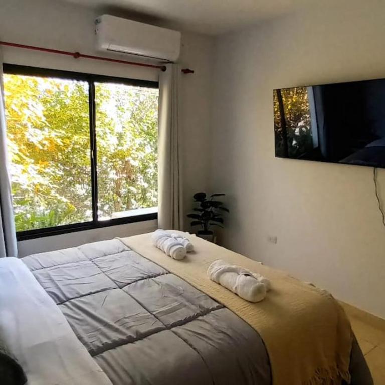 Nórdica Salta - Apartamento - 6