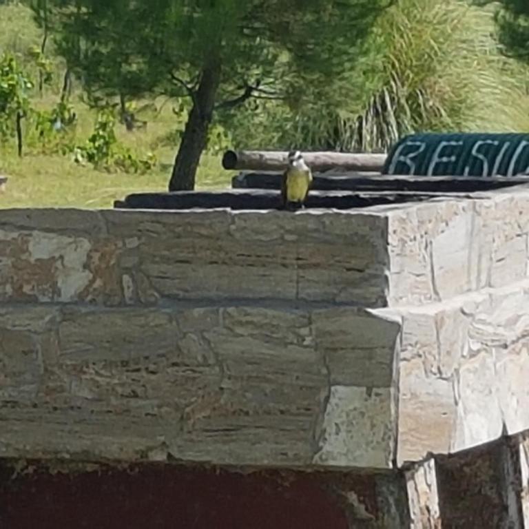 Aires de Campo - Bungalow de 2 dormitorios - 15