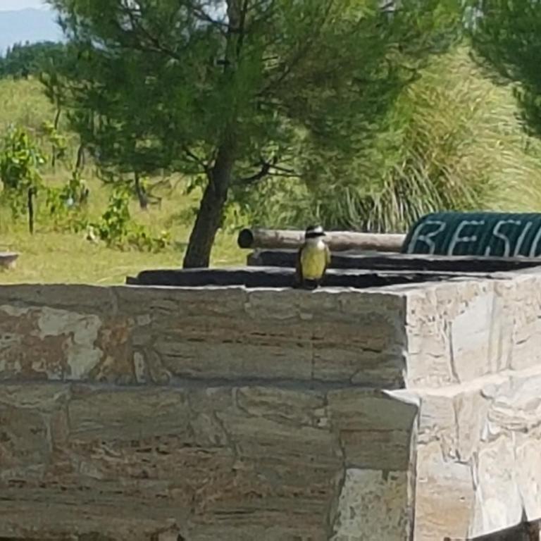 Aires de Campo - Bungalow de 2 dormitorios - 14