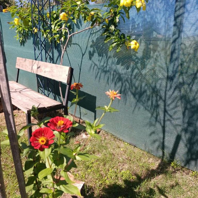 Cabaña de las luces - One-Bedroom Apartment - 63