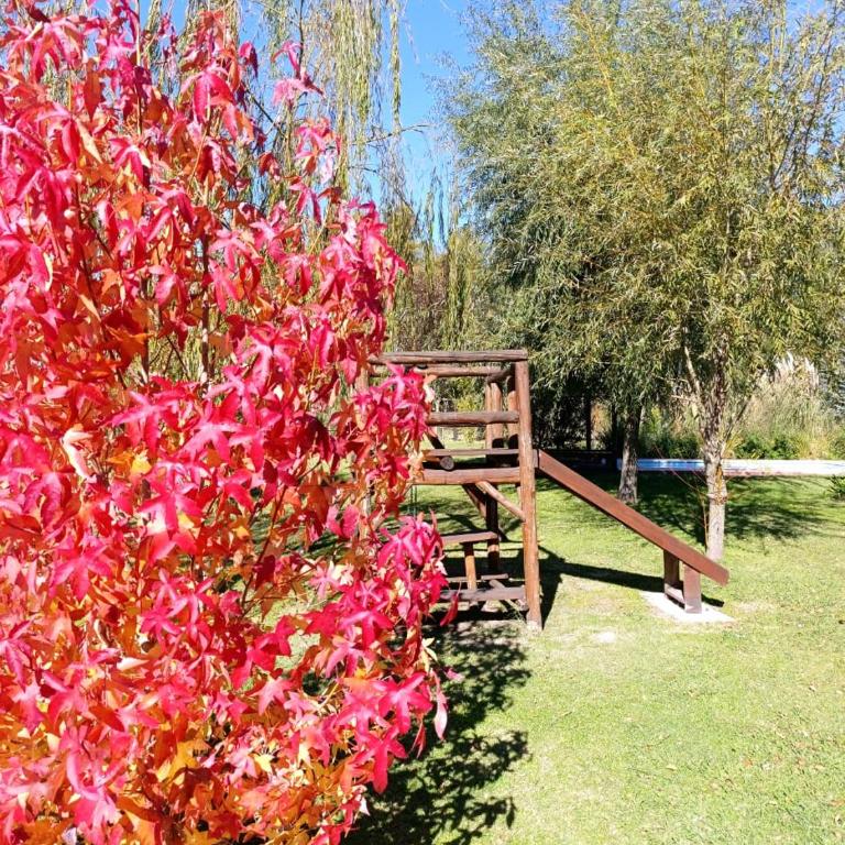 Quinta La Angelica - Casa con 1 dormitorio - 3