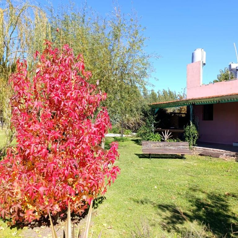 Quinta La Angelica - Casa con 1 dormitorio - 31