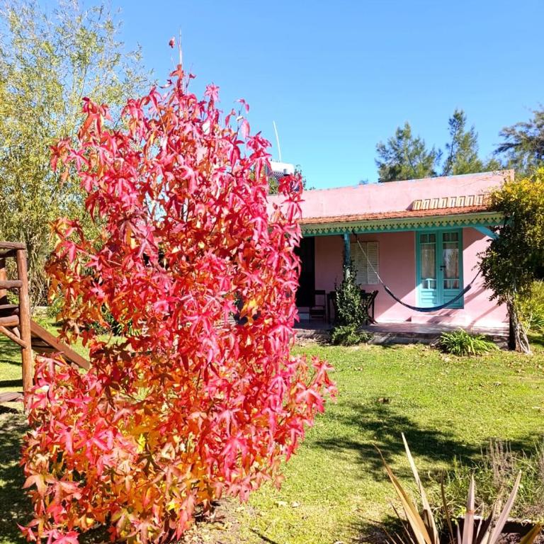 Quinta La Angelica - Casa con 1 dormitorio - 35