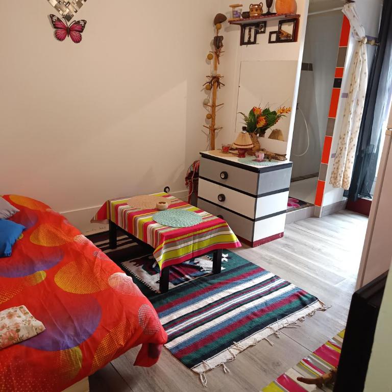Charmant Studio à Nation Paris 11e arrondissement - Appartement 1 Chambre - 1